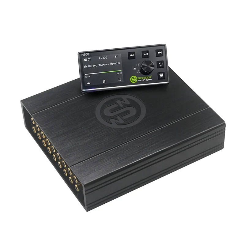 12-Channel DSP Audio Processor with 8-Channel Power Amplifier